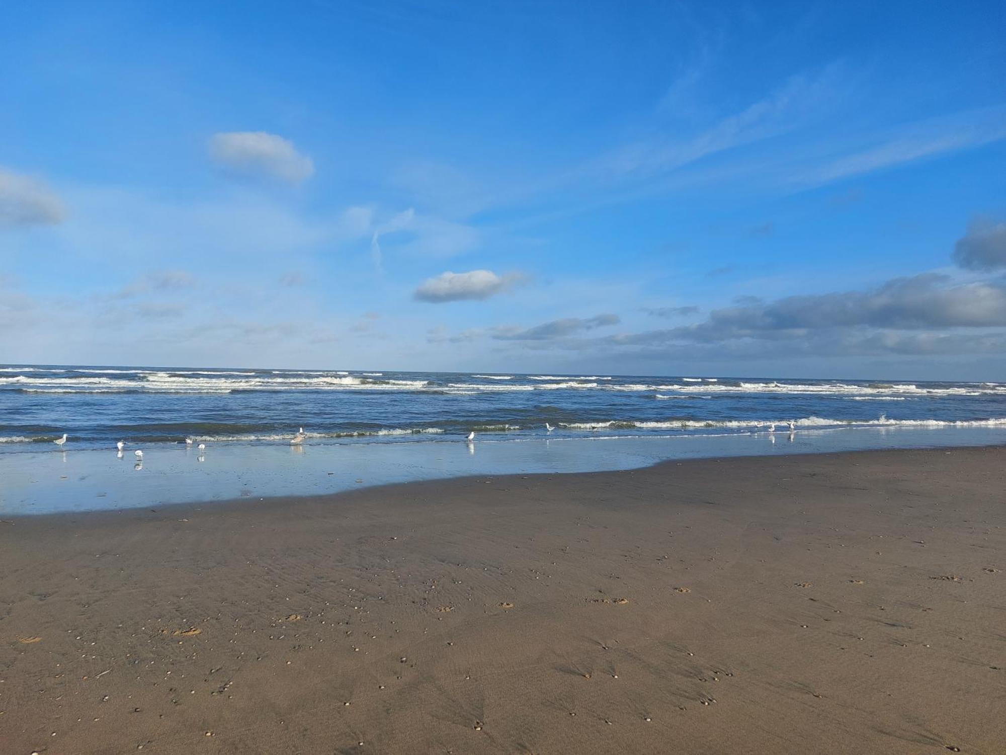 Rembrandts Beach View Зандфорт Номер фото